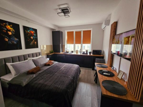Modern Studio 3
